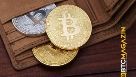 Bitcoin Cüzdanı Nasıl Seçilir? En İyi Bitcoin Cüzdanları