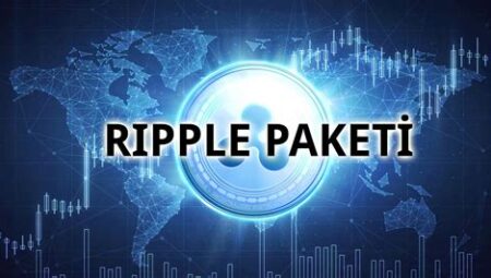 Ripple’ın Eğitim Alanındaki Uygulamaları